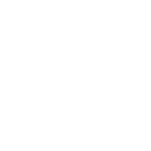 Bespoke AI Automation icon