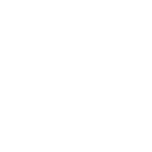 Bridge Setup icon