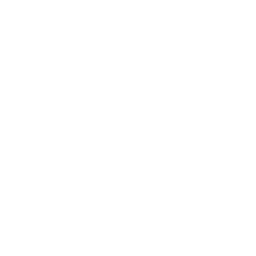 Vault icon