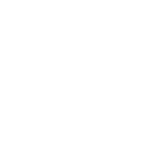 Websites icon