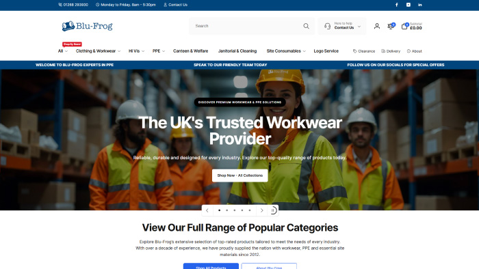 Blu-Frog website homepage screenshot